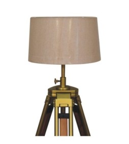 Brass Plated and Wooden Floor Lamp
