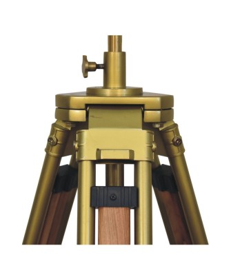 Brass Plated and Wooden Floor Lamp
